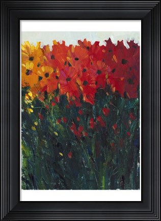 Framed Color Spectrum Flowers I Print