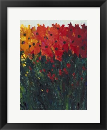 Framed Color Spectrum Flowers I Print