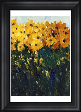 Framed Color Spectrum Flowers II Print