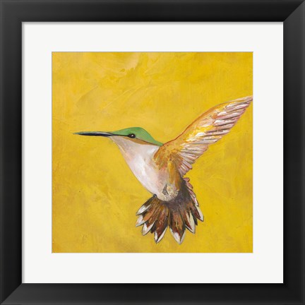 Framed Sweet Hummingbird II Print