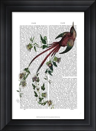 Framed Passion Flower Bird Print