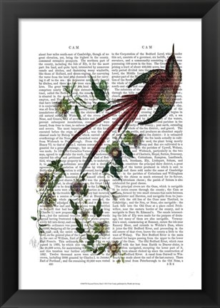 Framed Passion Flower Bird Print