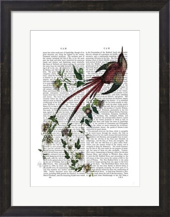 Framed Passion Flower Bird Print