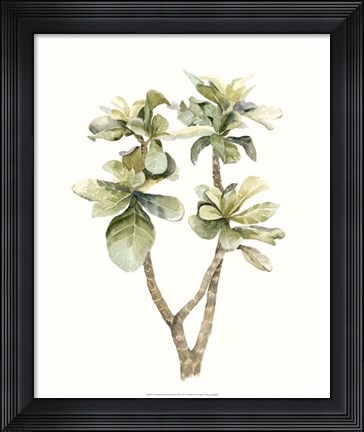 Framed Tropical Watercolor Leaves III Print