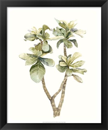 Framed Tropical Watercolor Leaves III Print