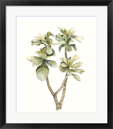 Framed Tropical Watercolor Leaves III Print