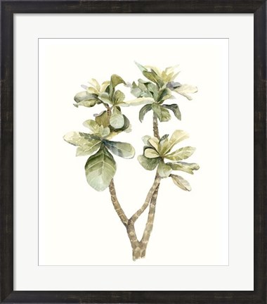 Framed Tropical Watercolor Leaves III Print