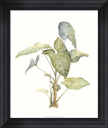 Framed Tropical Watercolor Leaves IV Print