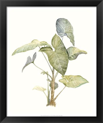 Framed Tropical Watercolor Leaves IV Print