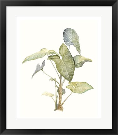 Framed Tropical Watercolor Leaves IV Print