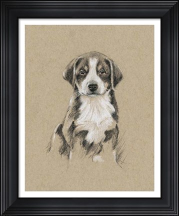 Framed Breed Sketches II Print