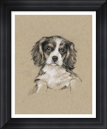 Framed Breed Sketches III Print