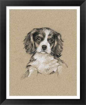 Framed Breed Sketches III Print