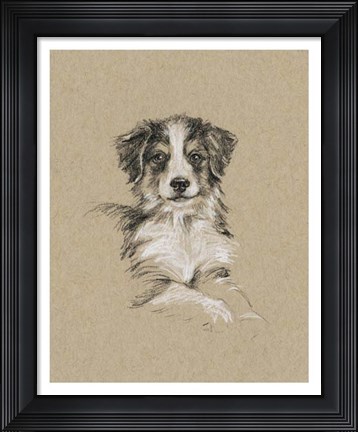 Framed Breed Sketches IV Print