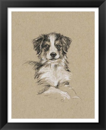 Framed Breed Sketches IV Print
