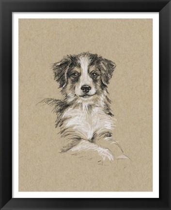 Framed Breed Sketches IV Print