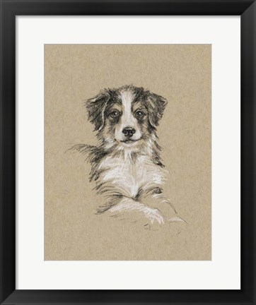 Framed Breed Sketches IV Print