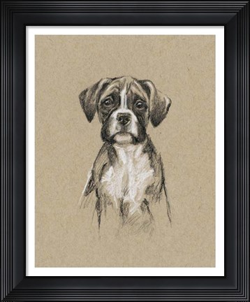Framed Breed Sketches V Print