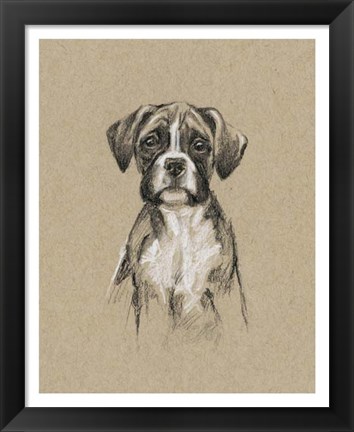 Framed Breed Sketches V Print