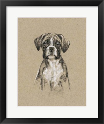 Framed Breed Sketches V Print