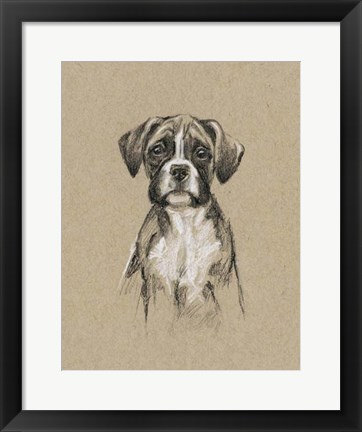 Framed Breed Sketches V Print