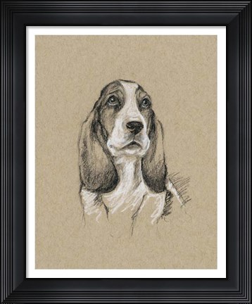 Framed Breed Sketches VI Print