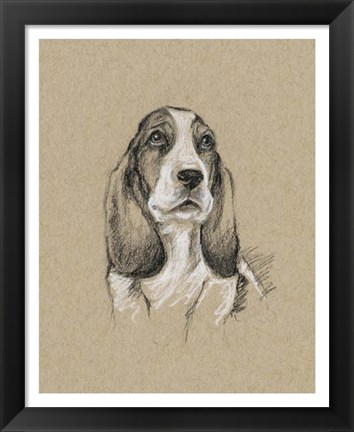 Framed Breed Sketches VI Print