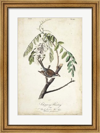 Framed Delicate Bird and Botanical I Print