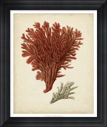 Framed Antique Red Coral V Print
