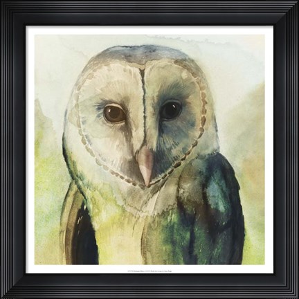 Framed Harlequin Hibou I Print