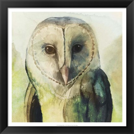 Framed Harlequin Hibou I Print