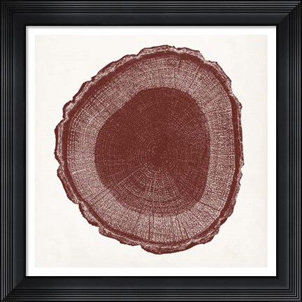 Framed Tree Ring I Print