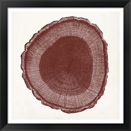 Framed Tree Ring I Print