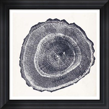 Framed Tree Ring III Print
