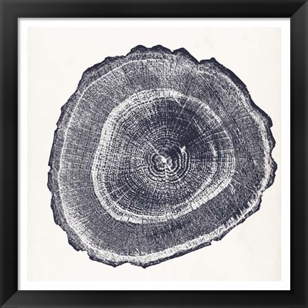Framed Tree Ring III Print