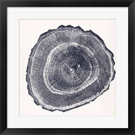 Framed Tree Ring III Print