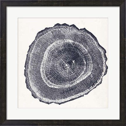 Framed Tree Ring III Print
