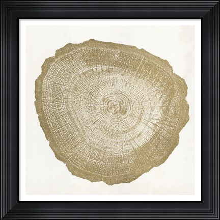 Framed Tree Ring IV Print