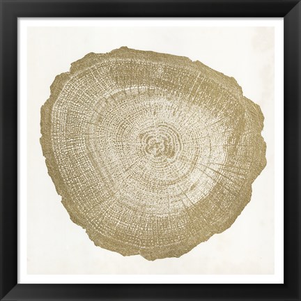 Framed Tree Ring IV Print