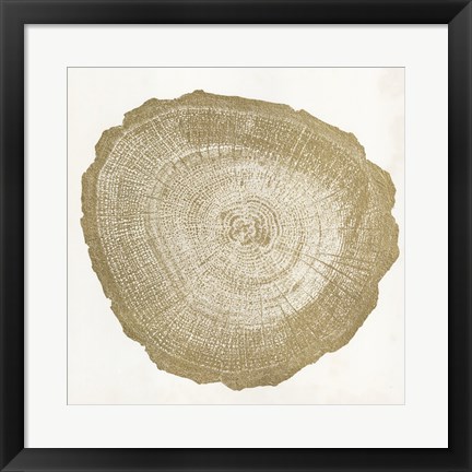 Framed Tree Ring IV Print