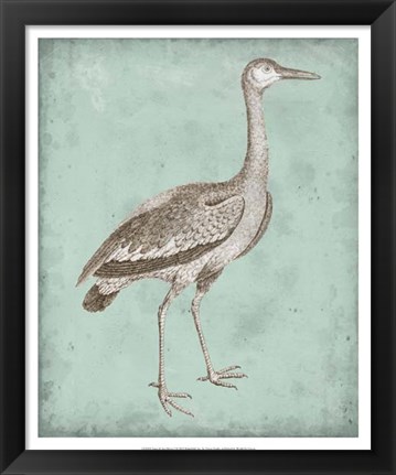 Framed Sepia &amp; Spa Heron I Print