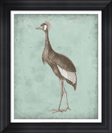 Framed Sepia &amp; Spa Heron II Print
