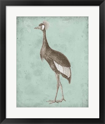 Framed Sepia &amp; Spa Heron II Print