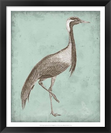 Framed Sepia &amp; Spa Heron III Print