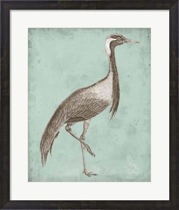 Framed Sepia &amp; Spa Heron III Print