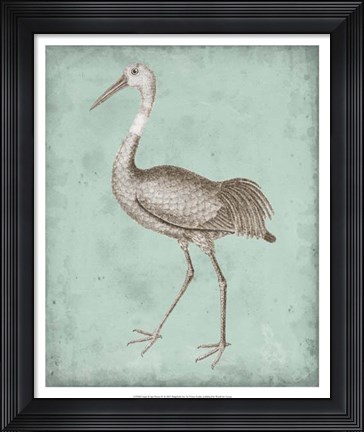Framed Sepia &amp; Spa Heron IV Print
