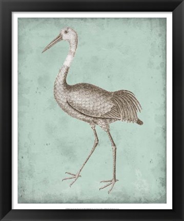 Framed Sepia &amp; Spa Heron IV Print