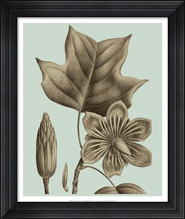 Framed Flowering Trees I Print
