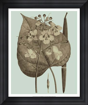Framed Flowering Trees II Print