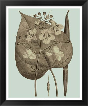 Framed Flowering Trees II Print